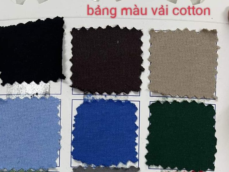 Đơn vị uy tín cung cấp loại vải áo thun cotton đạt chuẩn chất lượng